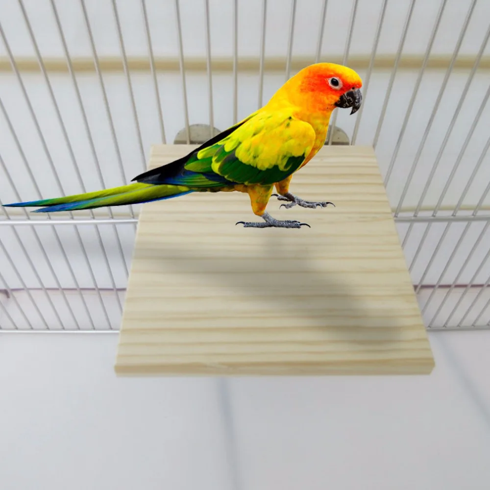 1pc Pet Birds Small Animals Springboard Toys Anti Bite ...