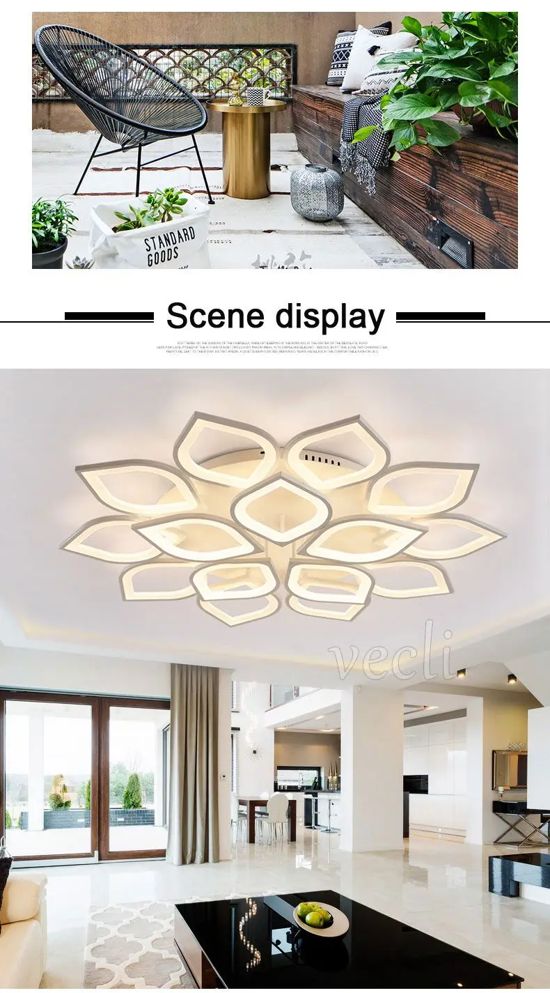 Ceiling lamp (4)
