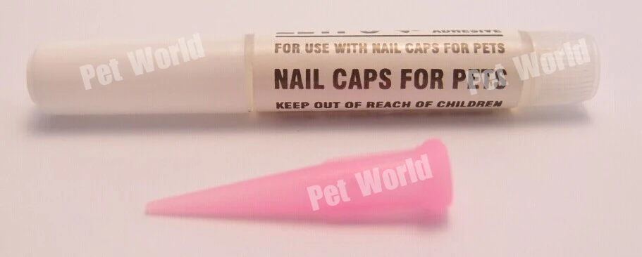 GLUE