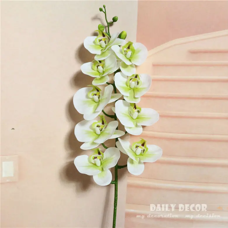 3447529446_356759457