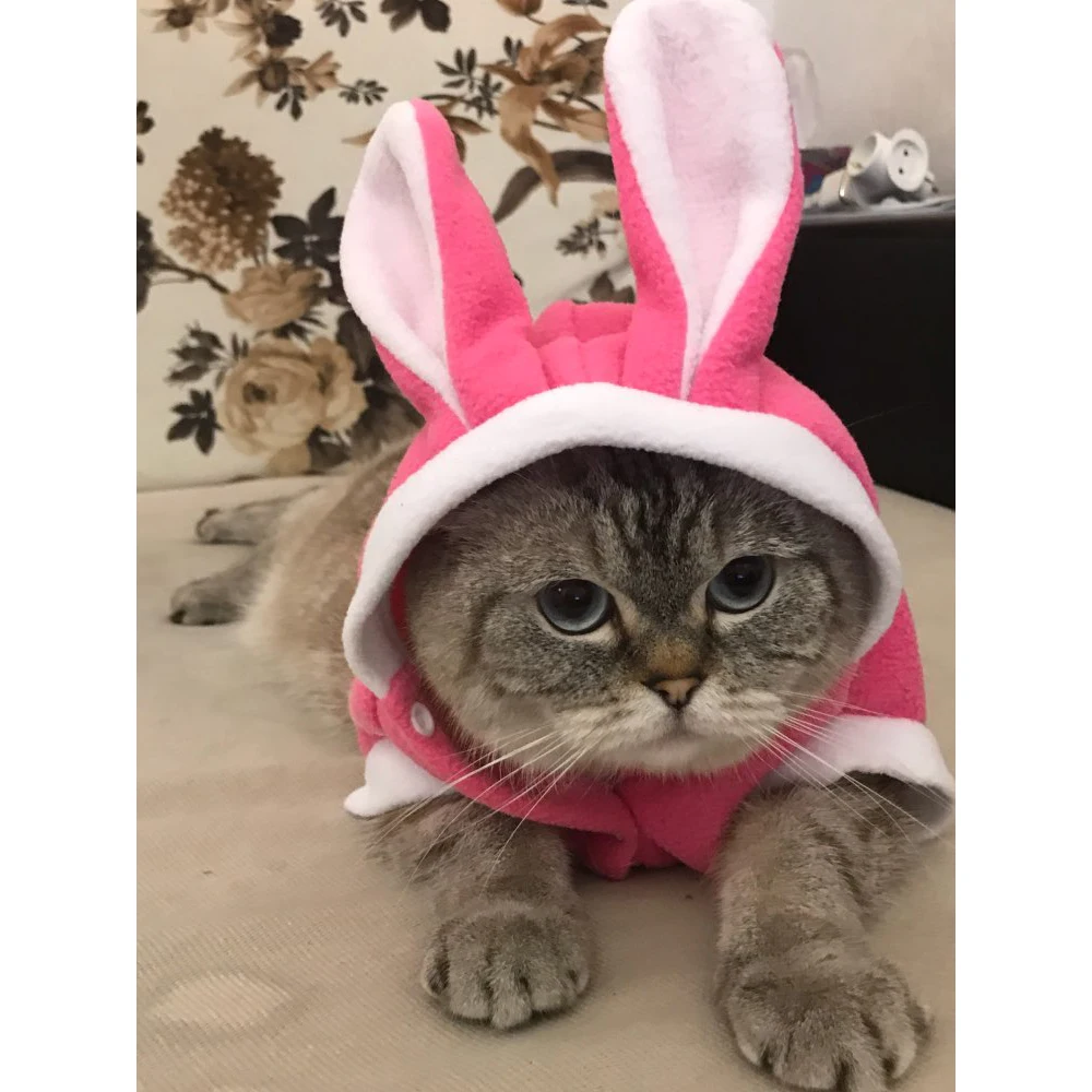 Soft Fleece Cat Costume Rabbit Suit Cute Rabbit Coat for Cat