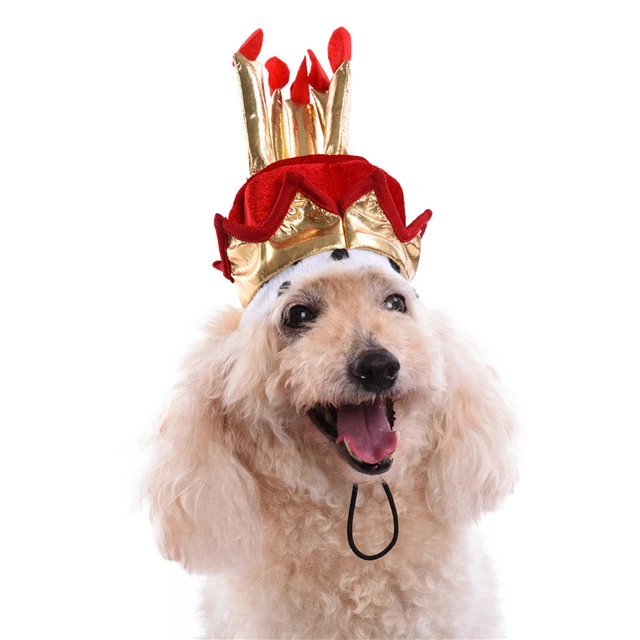 hond verjaardag hoed verjaardag levert taart model hoed voor pet