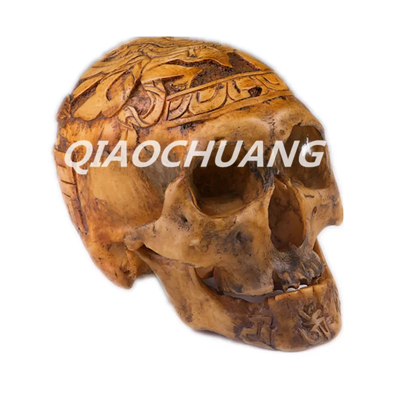 

Statue Vajra Crafts Apocalypse Series Kapala Human Skull Bone Handicrafts 1:1 Resin Skull Bone Collectibles King Kong Boxed W198