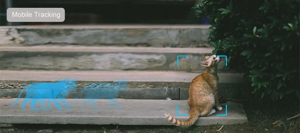 1080P Xiaomi YI Dome Home Camera (5)