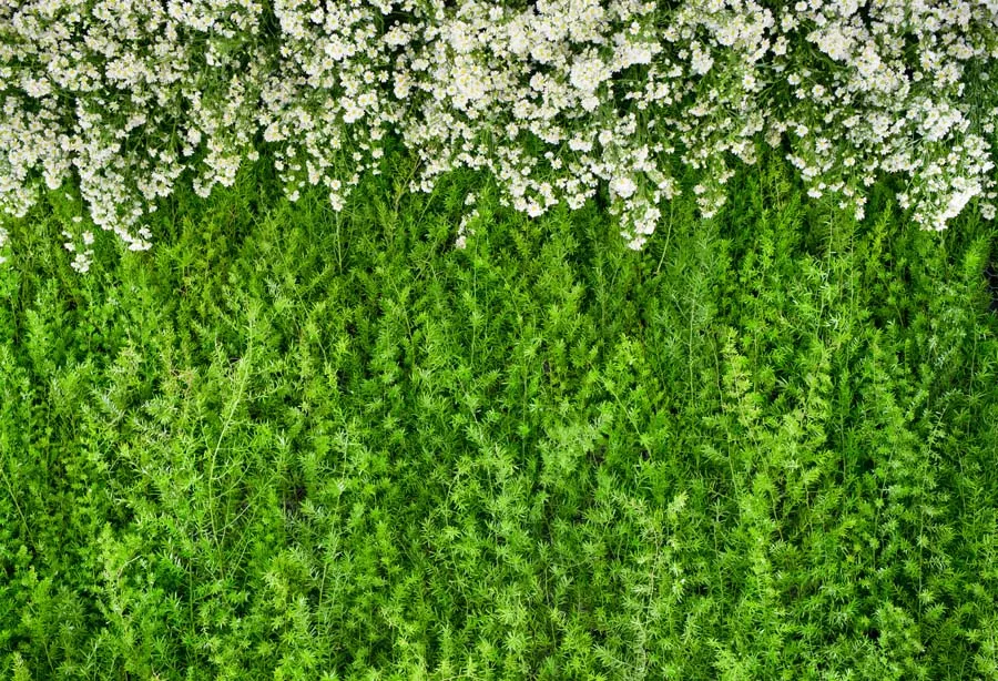 Flowers Photo Background Vinyl and Polyester Photography Backdrops Computer Printed for Studio G-186 | Электроника