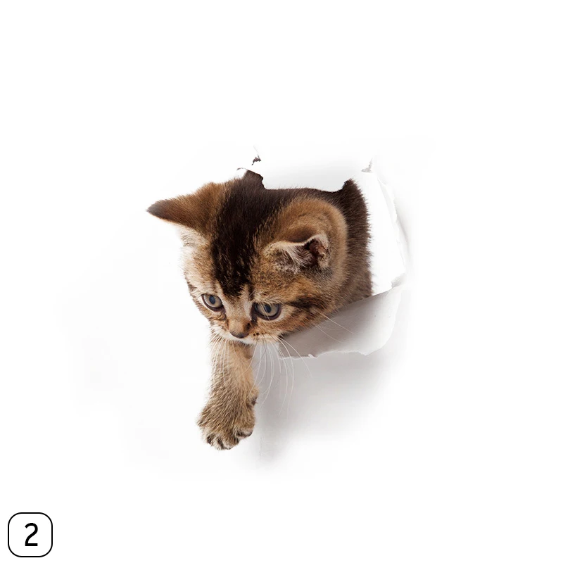 267554_no-logo_267554-2-02