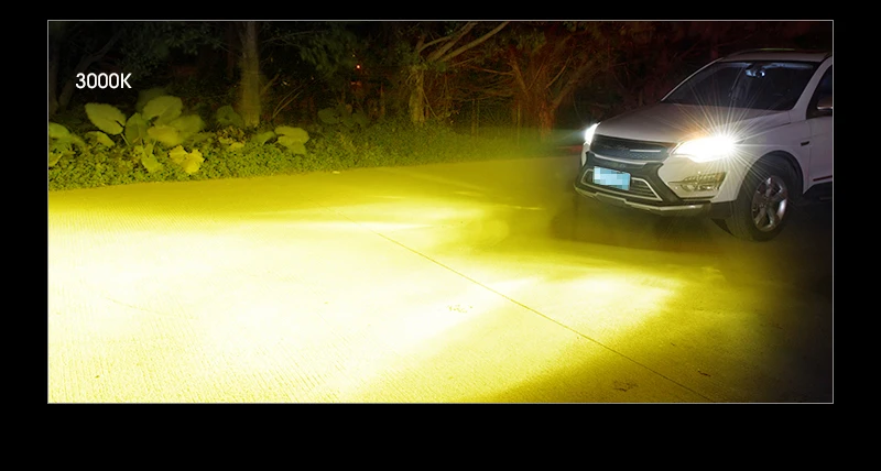 3C6_06
