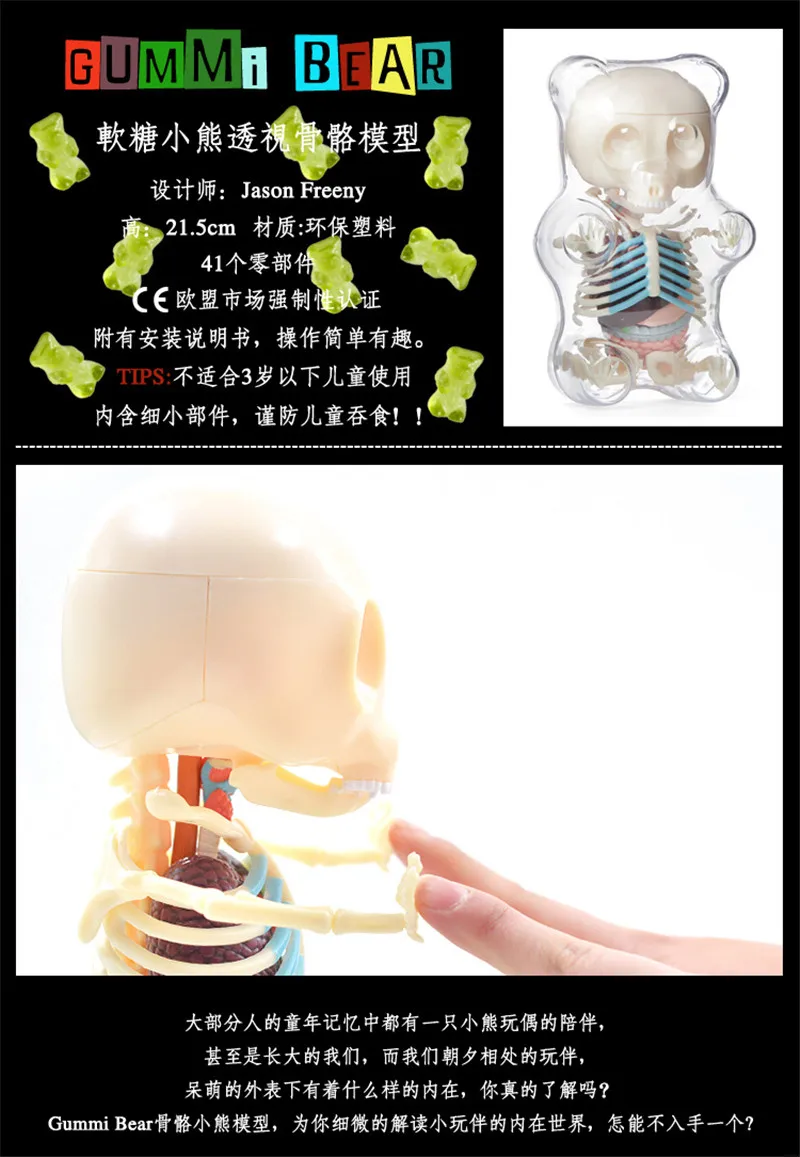 Большой медведь 4d мастер головоломка Сборка игрушки перспективная кость анатомическая модель