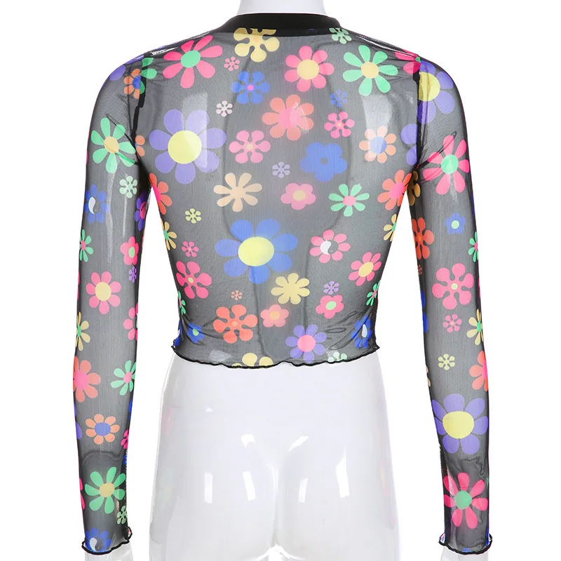 9956749351_1045645777