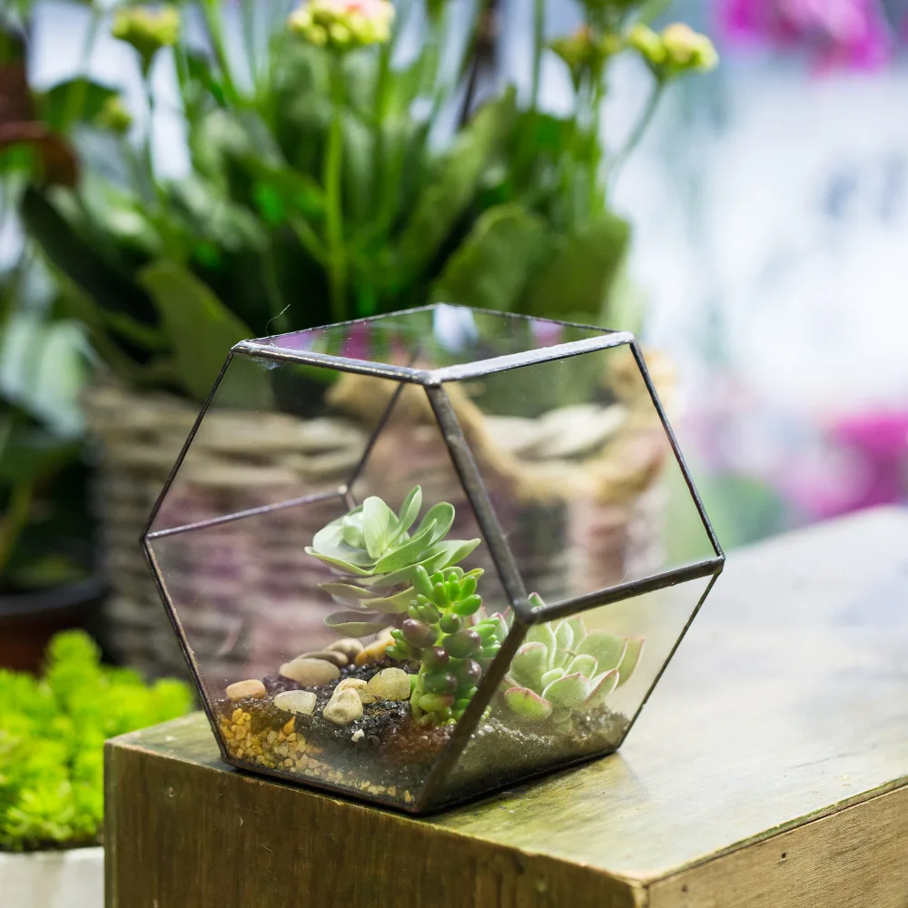 Настенный геометрический шестигранный стеклянный террариум, коробка для суккулентного растения, цветочный горшок, вертикальный садовый бонсай, Террариум, цветочный горшок
