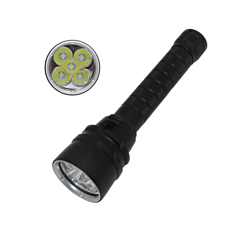 DL0028 (5)
