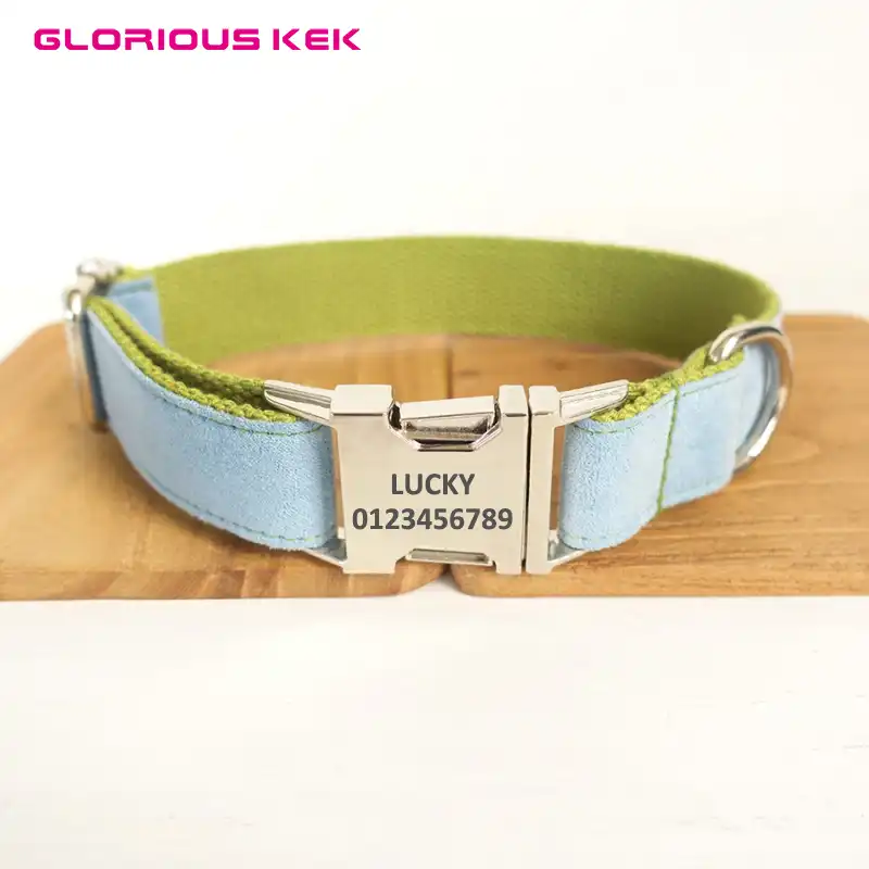 luxury cat collars