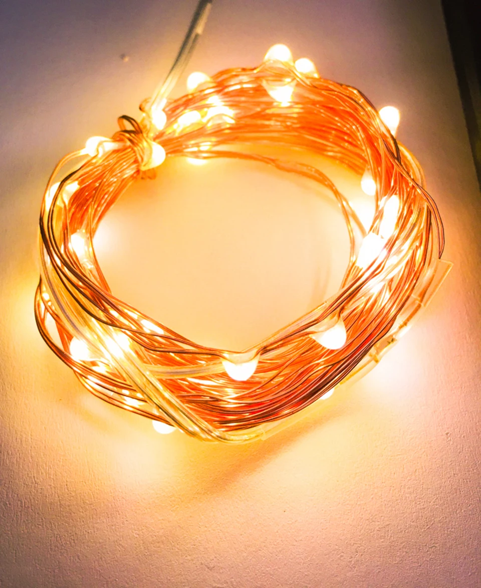 HOLIDAY LIGHT (9)
