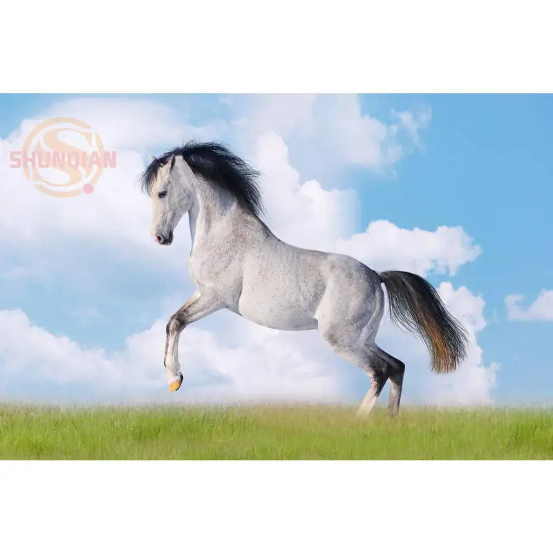 Красивая Белая лошадь плакат печать из шелковой ткани с принтом плакат печать ткань стены плакат на заказ атласный плакат YF-& 13 - Цвет: 6