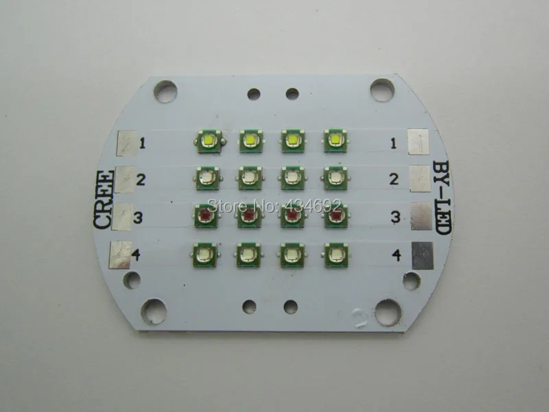 XPE RGBW 4 (3)