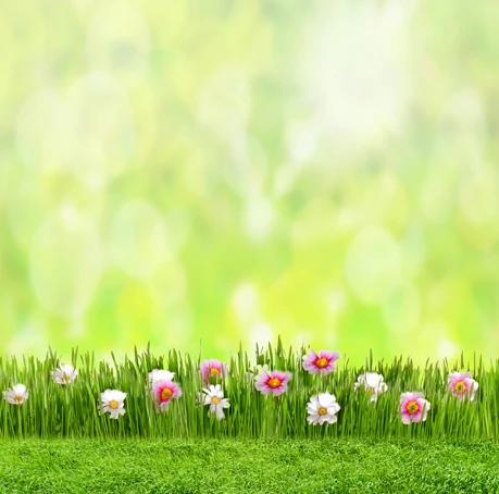 8x12ft Vinyl Backdrop Photography Photo Flowers Plant Best Selling 2015 Background Photographic For Activities 2.5x3.5m S-229 |