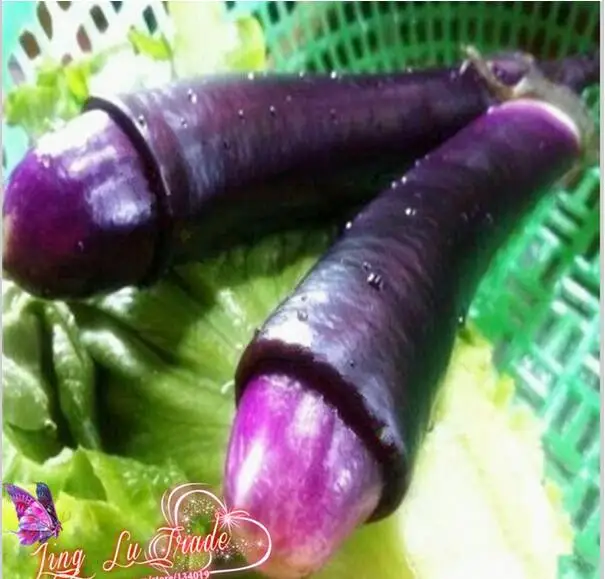 vegetable most similar to a penis Haiti nude men