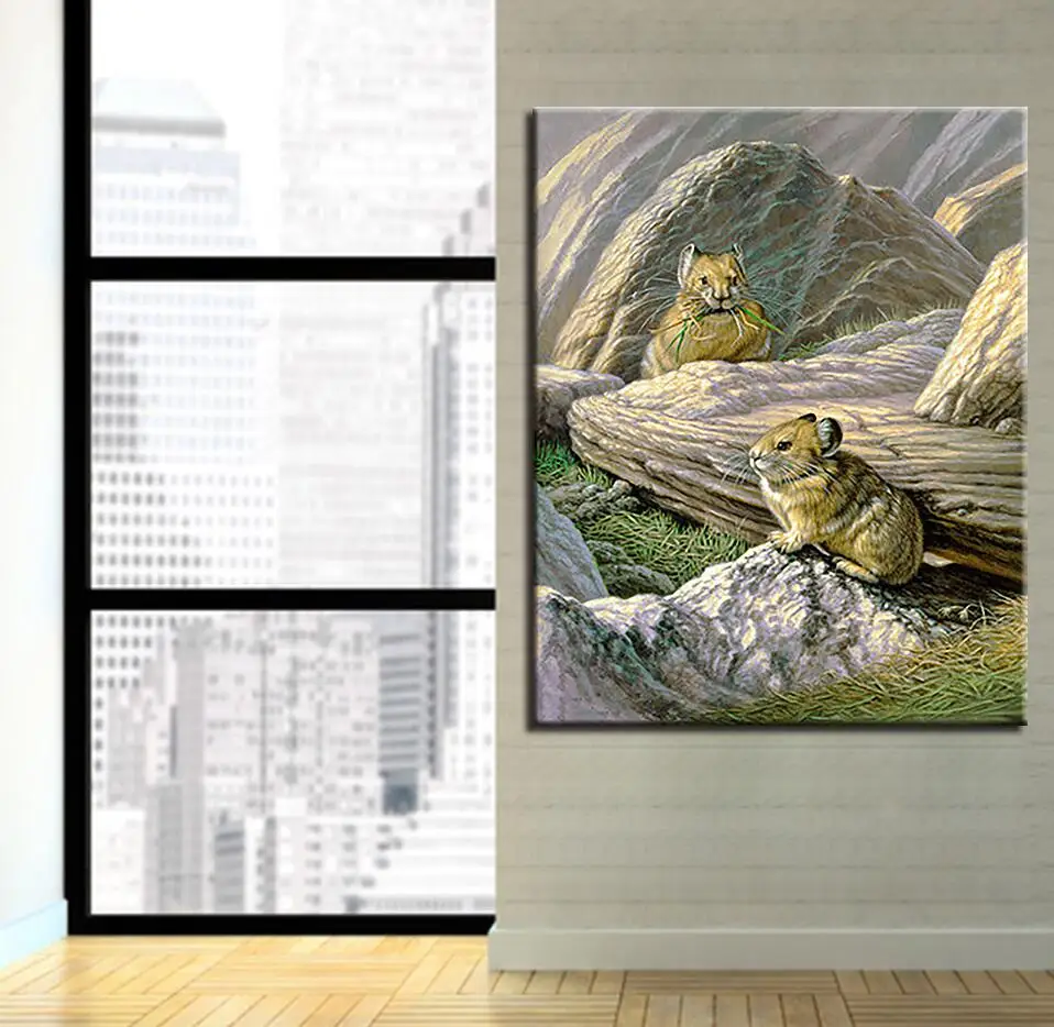 Картина в масляной рамке по номерам DIY наборы для рисования раскраска абстрактные картины животных на холсте домашний декор для гостиной стены искусства - Цвет: Y5652