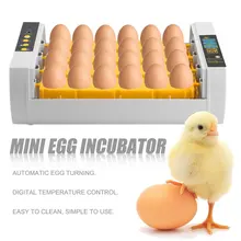 Практичный 24 яйца большой емкости мини инкубатор для курицы птицы перепелиных яиц индейки домашнего использования автоматический поворот яиц