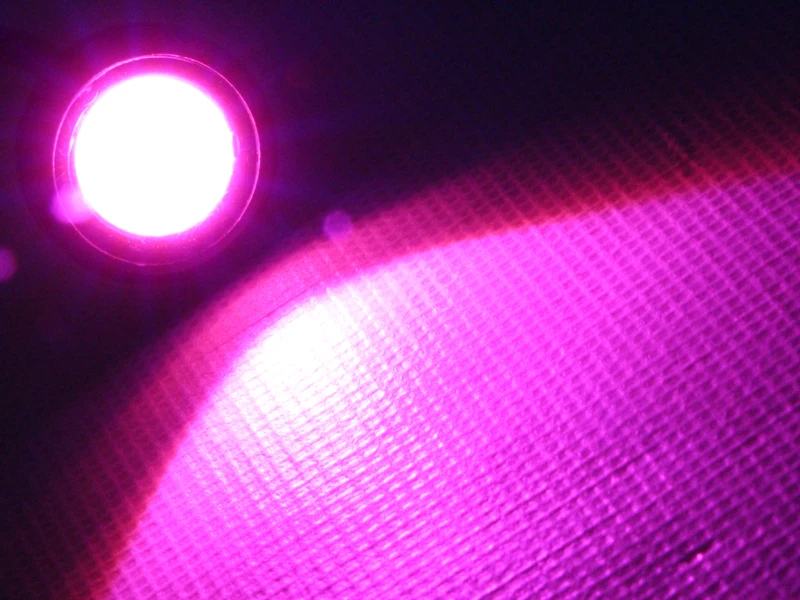 purple (1)