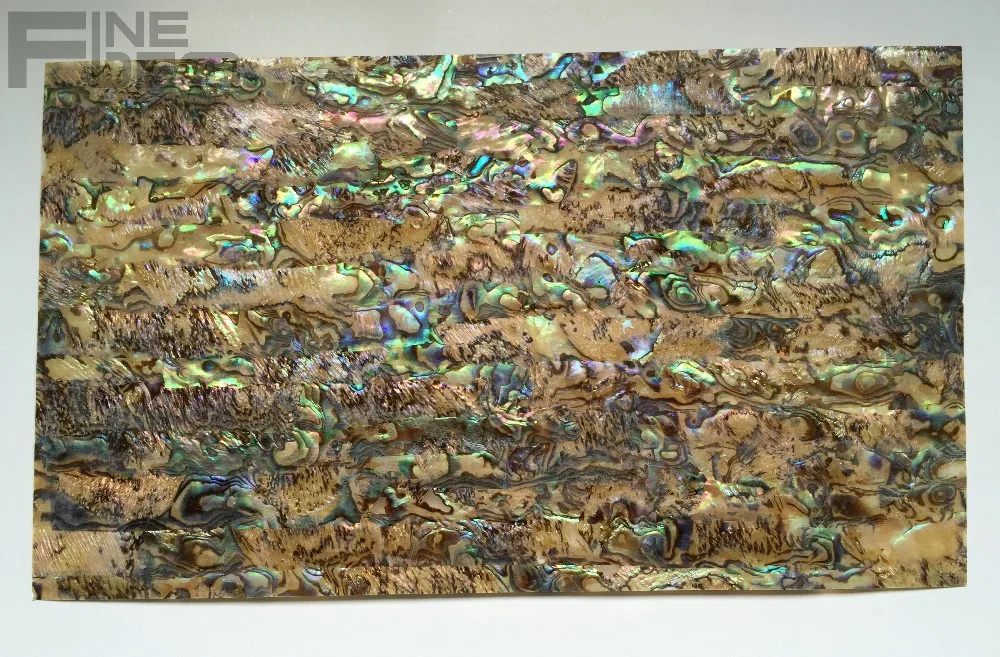 FD6003 paua meat 4