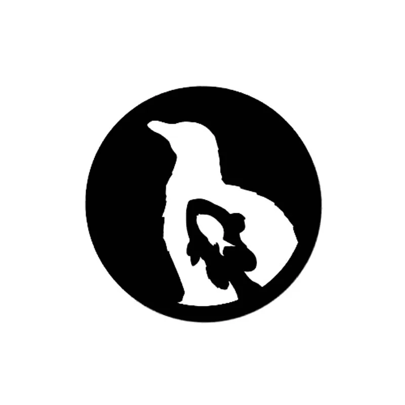 5-55