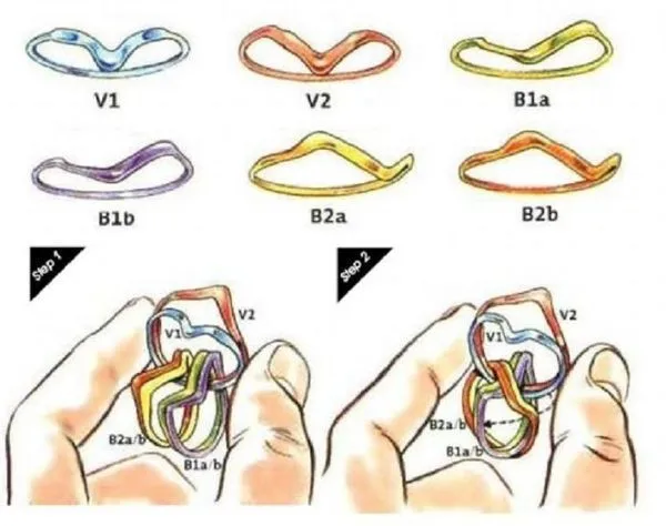Topoloji düğümler Metal rings, Rings, Drop earrings
