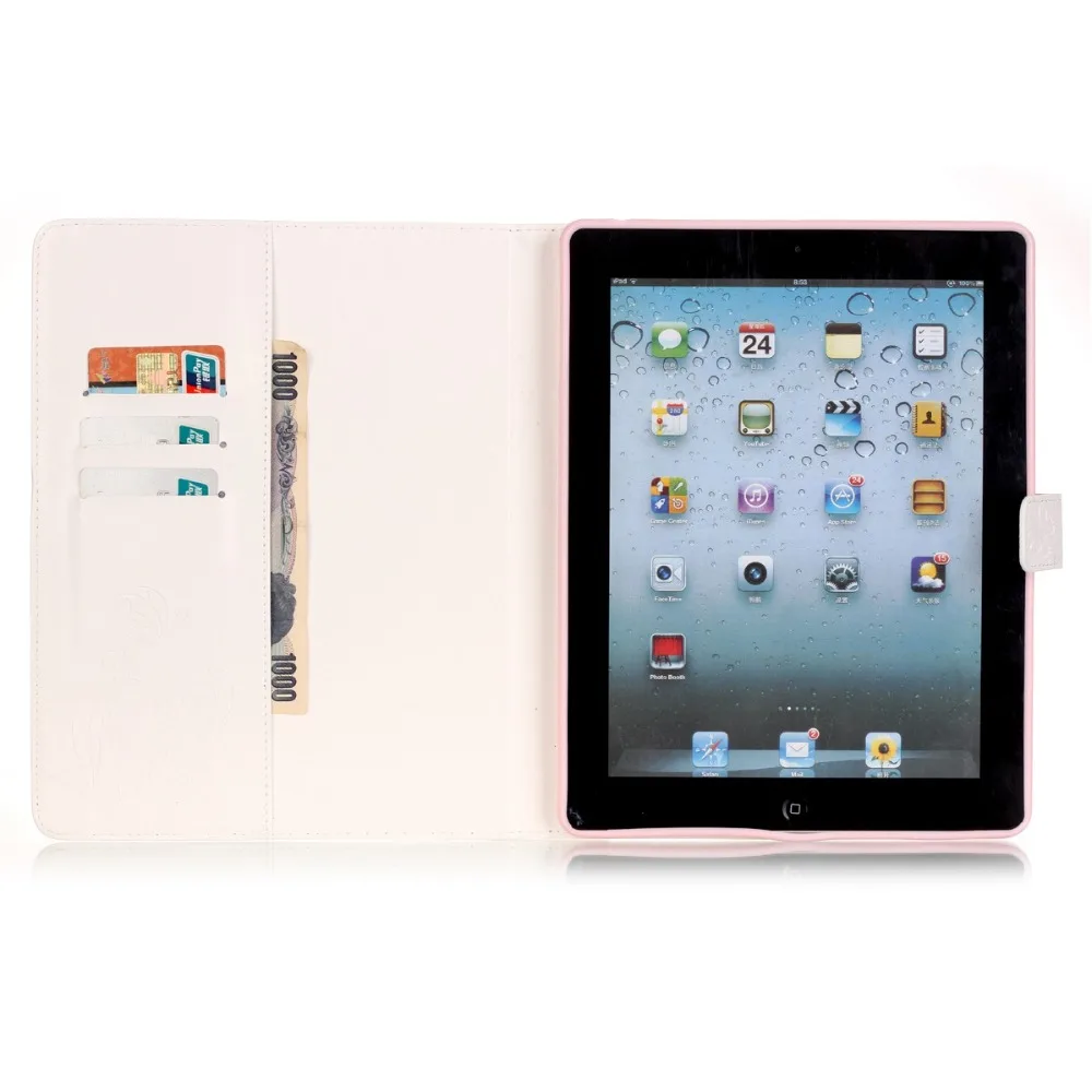 ipad234  (25)