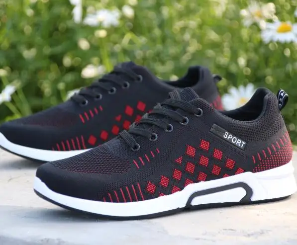 36020190223093403699