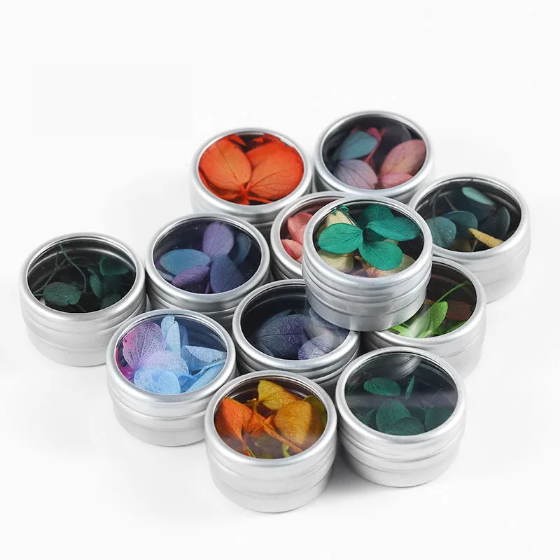 

Dried Flowers Nail Decals 3D Stickers 12 Colors Real Natural Dry Floral Nail Art Accessory Supplies for Women Manicure Tips