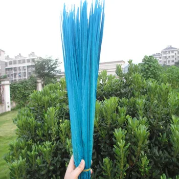 

wholesale 50pcs / lot sky blue color pheasant tail feathers 18-20 inches / 45-50 cm Wedding stage decoration