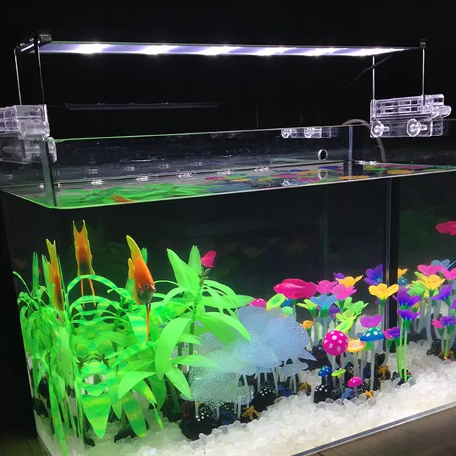 aquariam lights aquariam lights