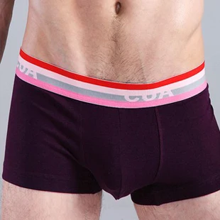 

Trendy color cotton Lycra U convex bag male pants men's underwear men's lovers 1111811
