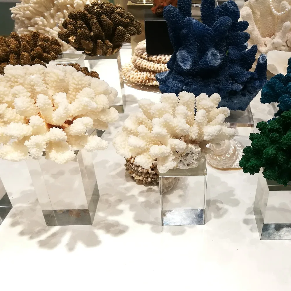 BRAC4077&78-display