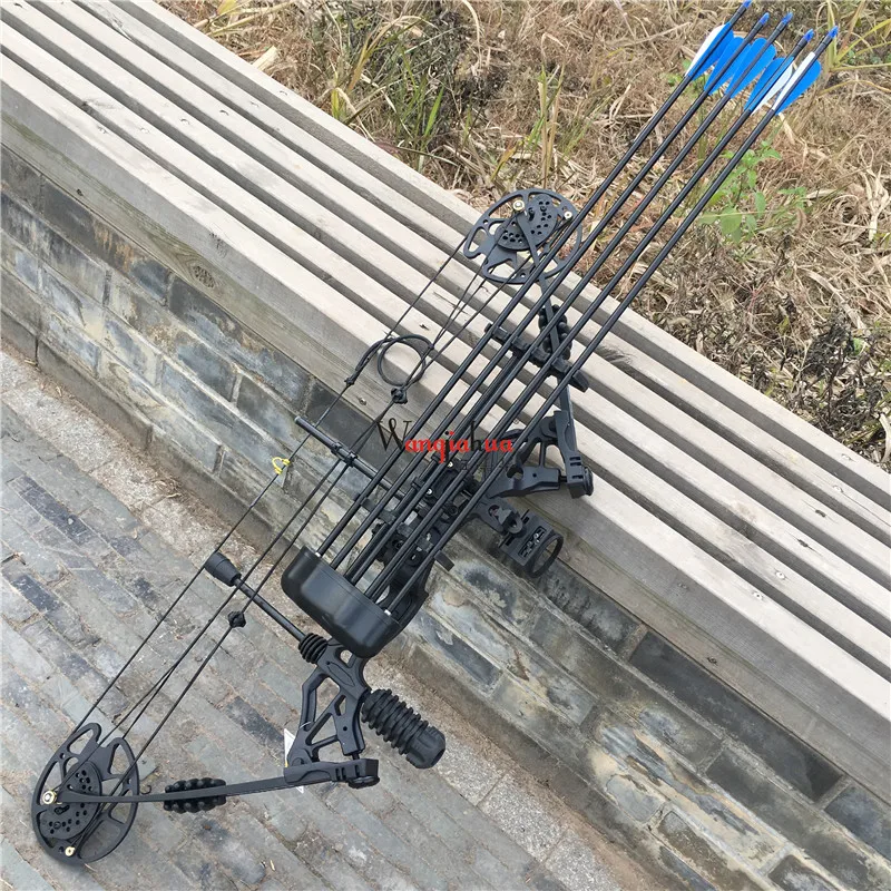 Outdoor Archery Equipment Hunting Compound Bow Sports Entertainment Competition Fitness Bow Composite Bow