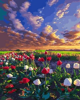 

Unframe diy picture oil painting by numbers paint by number for home decor canvas painting 5065cm rose field