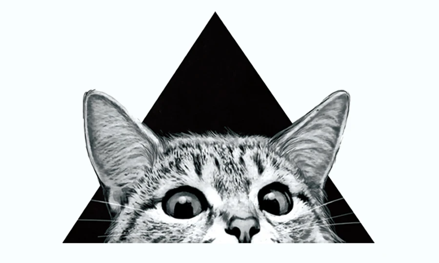 Iron on Patches R205-1