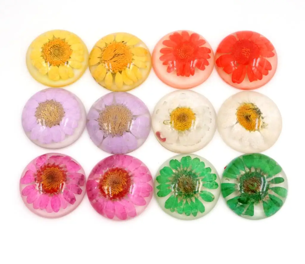 

New Fashion 5pcs/lot 25mm 6 Style Colors Flower Natural Dried Flowers Flat Back Resin Cabochons Cameo cabochons