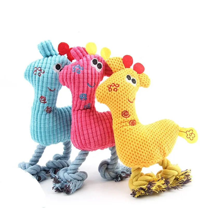 3070481096_1847764777