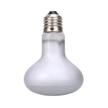 

Reptile Heated Lamp 50w 75w Light White UVA Day Night Amphibians For Pet Animal Bird Snake Terrariums Bulb 220V