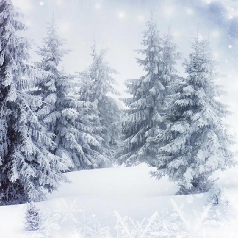 Photography Background Backdrop Snow World Backgrounds For Christmas Family font b Photos b font Children Background