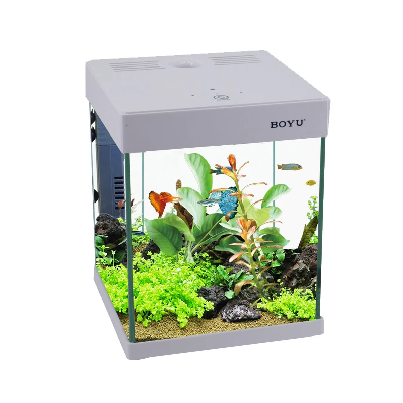 best fish tank filter for goldfish