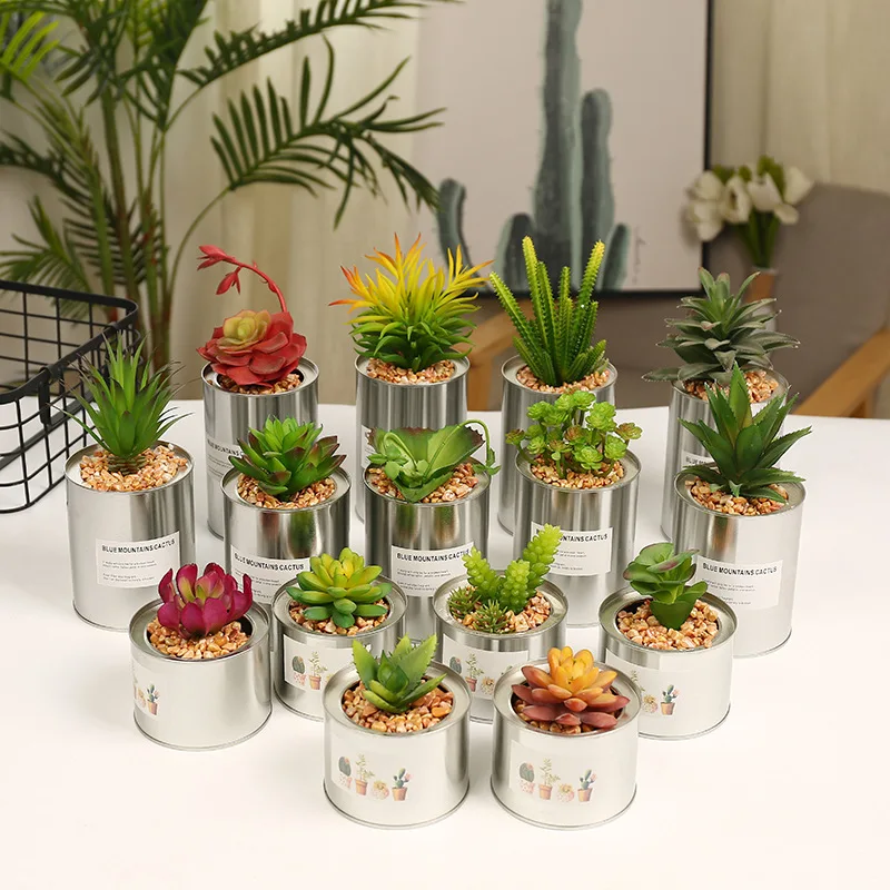 

Ins Nordic wind, iron cactus, green, succulent artificial flowers, potted plants.