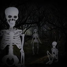 2017 Human Skeleton Medium Skull Full Body Anatomical Model For Halloween Medical APR06 17