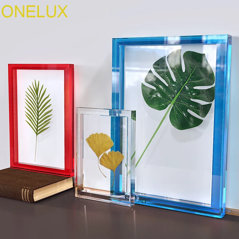 ONELUX Sets Of Acrylic Botanical Specimen Frame With