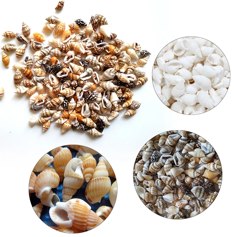

100PCS/Bag Natural Conch Shells Aquarium DIY Decoration Home Decor Natural Sea Beach Shell Conch Seashells For DIY Crafts