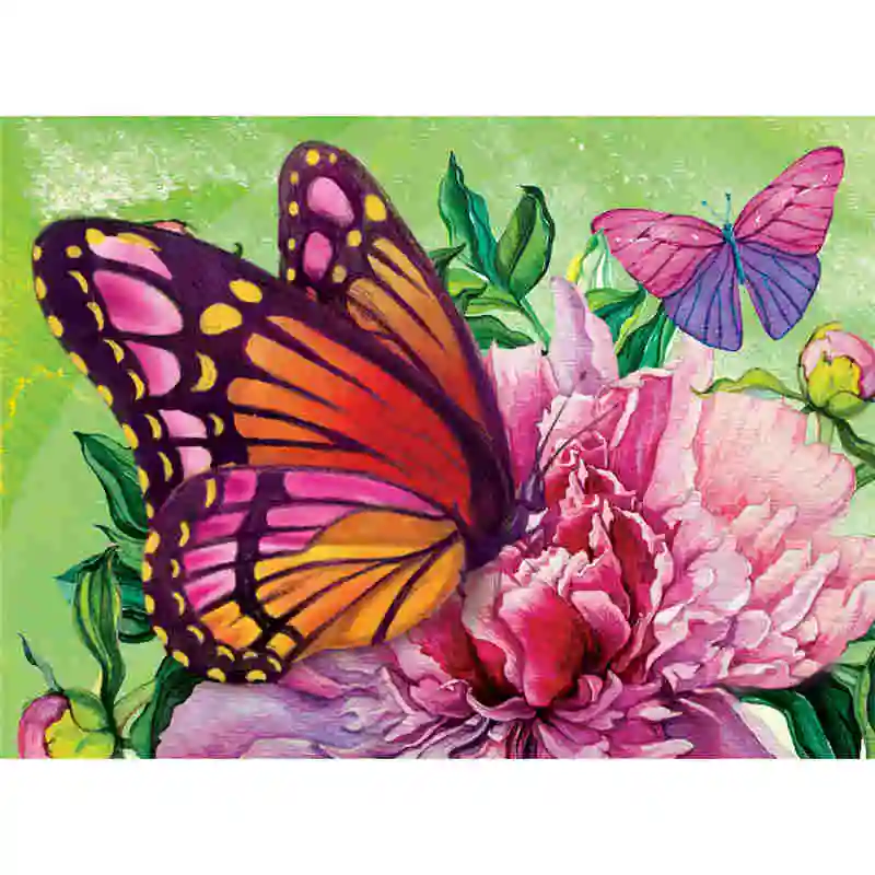 L899,40x30