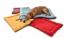 Coton animal de compagnie coussin maison doux chien lit tapis chaud chien couverture solide polaire chaise longue lit pour petit moyen grand chiens produits pour animaux de compagnie ► Photo 2/6