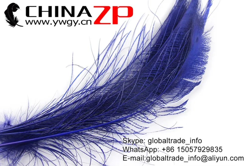 Royal Blue Peacock Sward Cut Feathers (2)