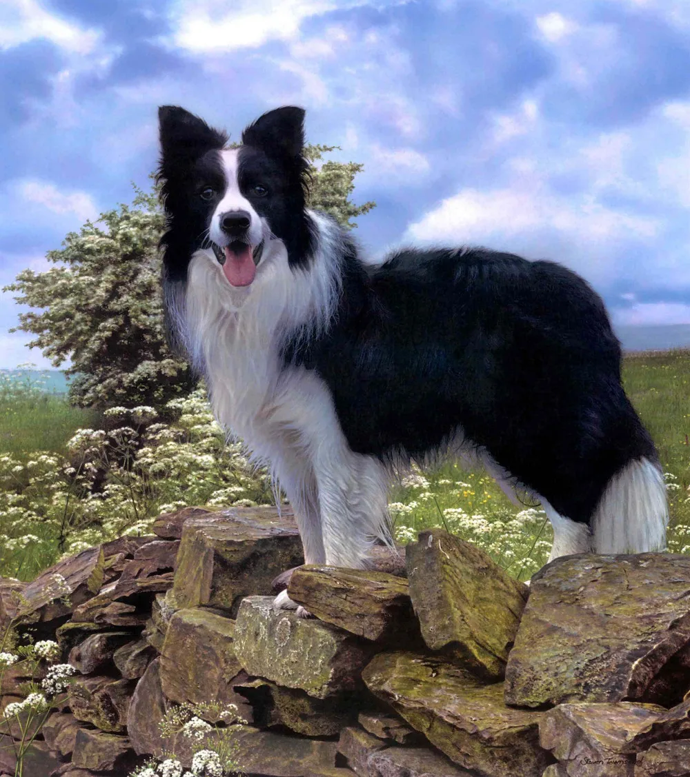 HTB1Ay60KVXXXXaMXVXXq6xXFXXX4